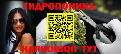 ECSTASY Донской