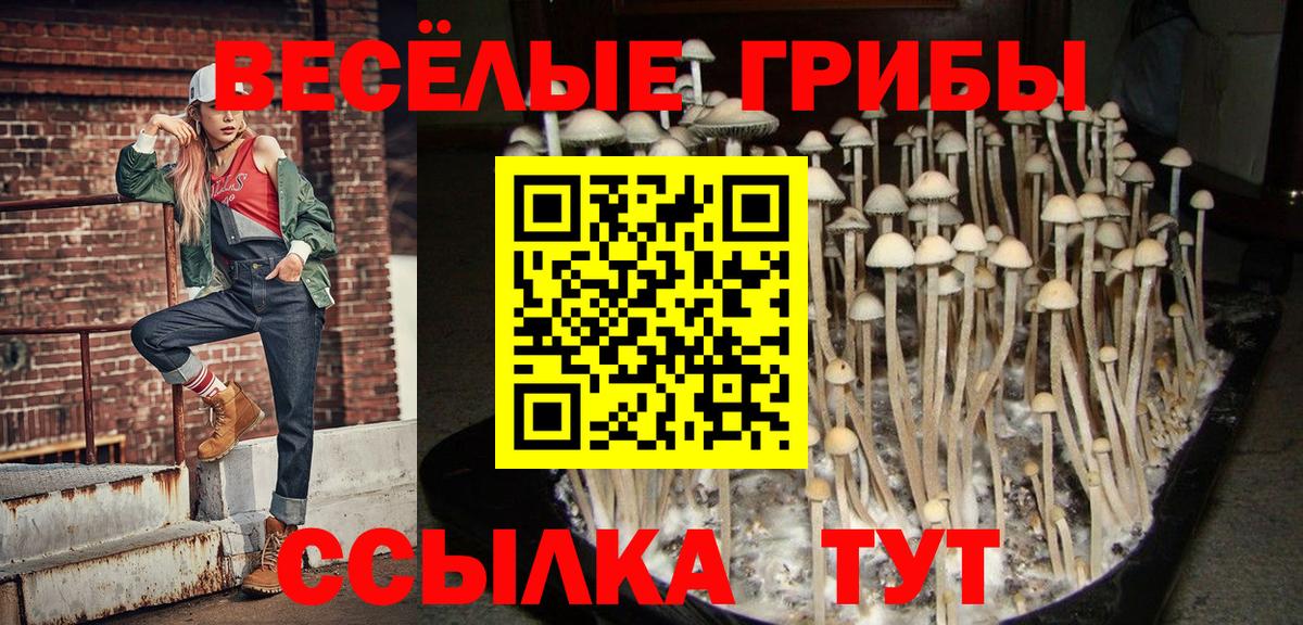 Галлюциногенные грибы Magic Shrooms  Галлюциногенные грибы GOLDEN TEACHER  Мыски  хочу   Вход с VPN 